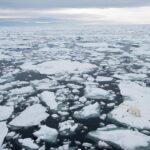 After the Arctic Ice Melts | Hon. Fran Ulmer